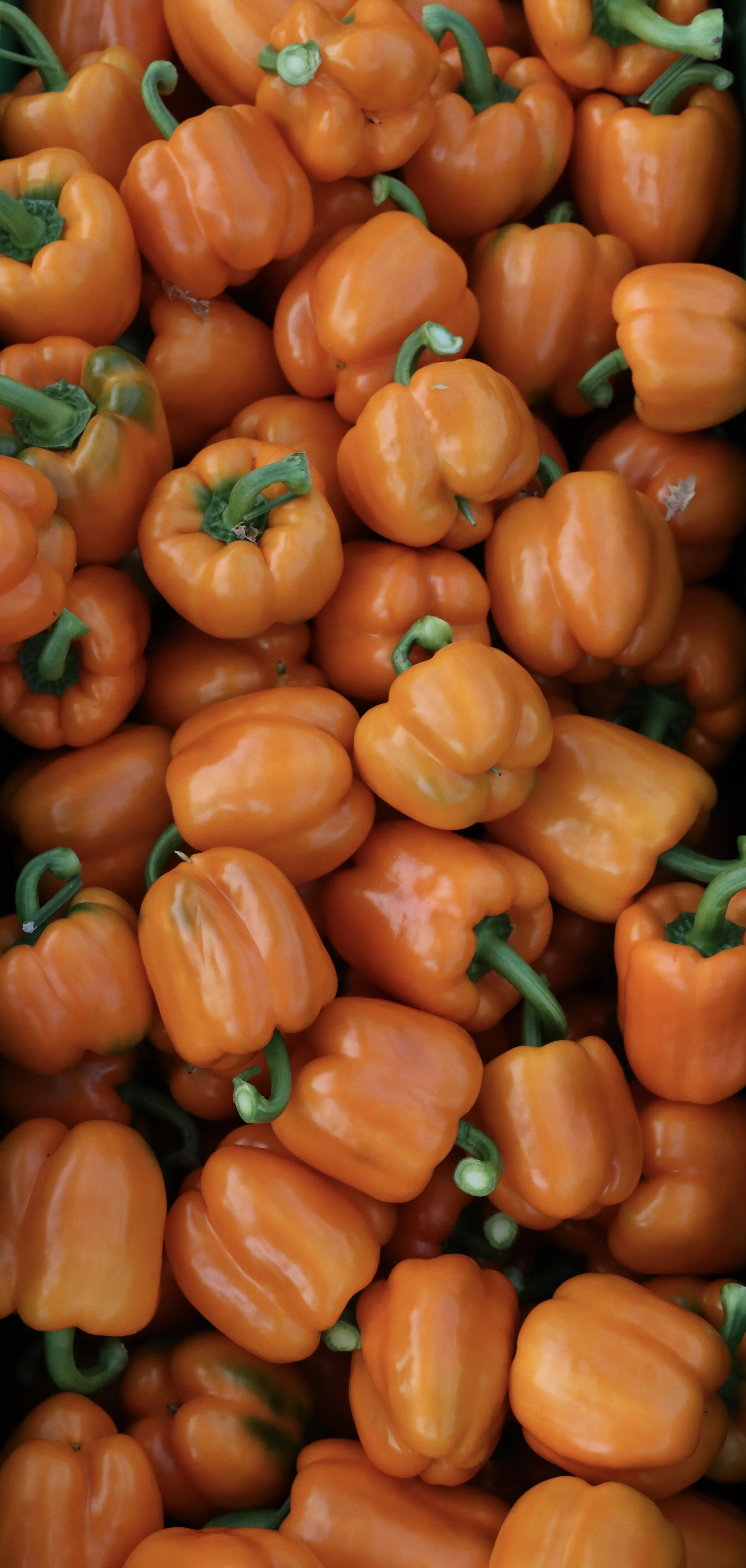 Bell Peppers in Baskets